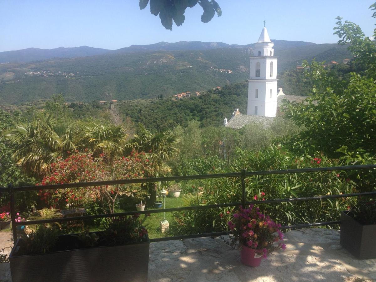 Casa Di Emma Bed & Breakfast Santo-Pietro-di-Tenda Exterior photo